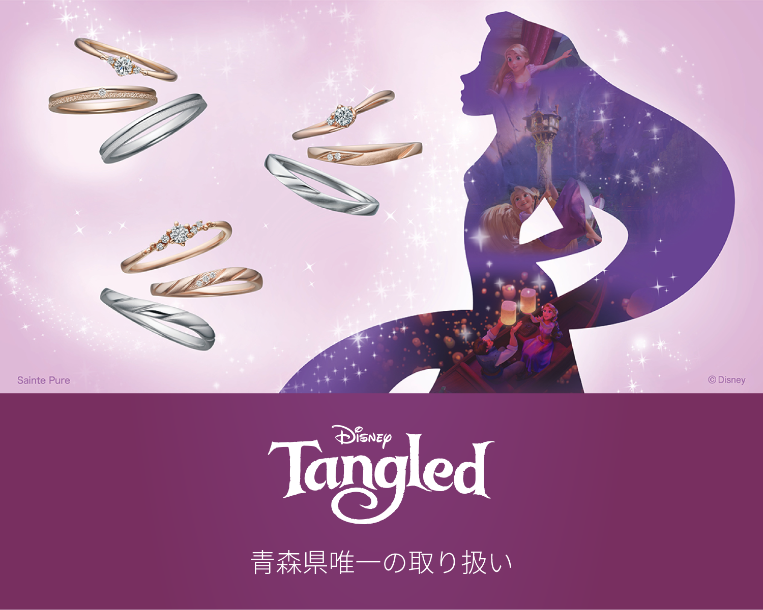 Disney Fiar ディズニーフェア